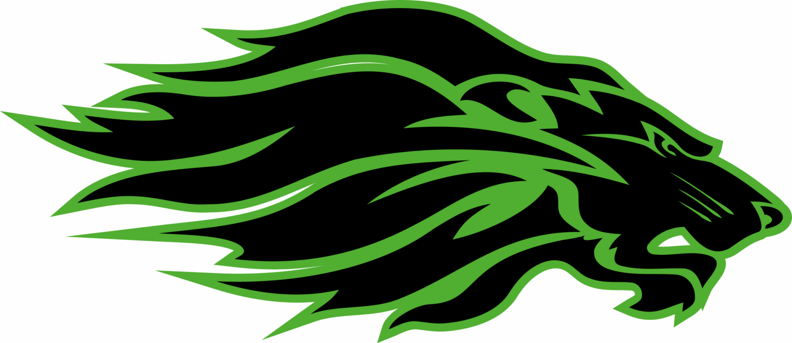 Львівські Леви Logo